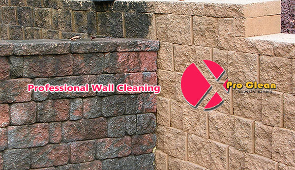 Professional wall cleaning Pune and PCMC