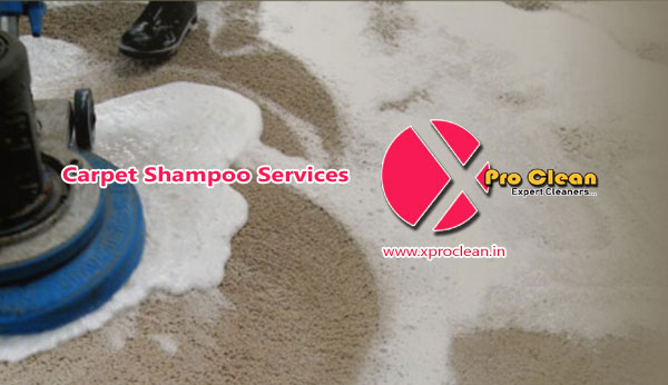 Office Carpet cleaning service Pune