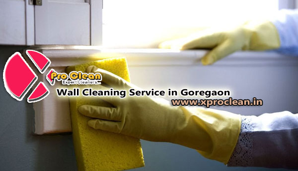 Professional cleaning service goregaon