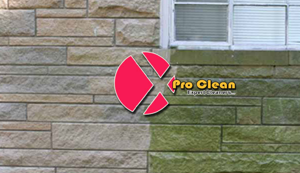 Internal and external wall cleaning service in Mumbai